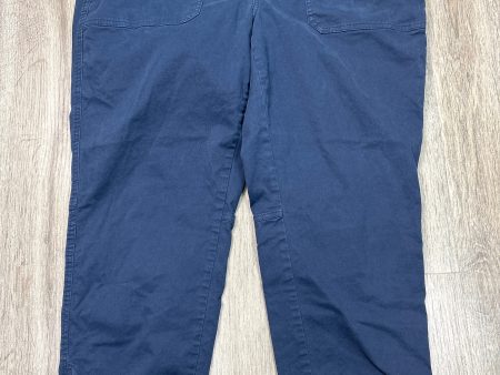 Pants Cargo & Utility By Banana Republic In Blue, Size: Xxl Fashion