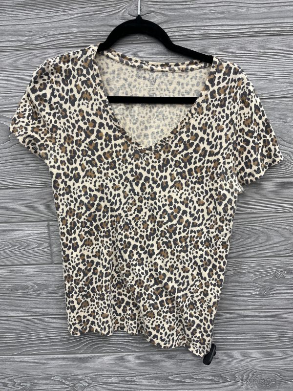 Top Short Sleeve By Gap In Animal Print, Size: M on Sale