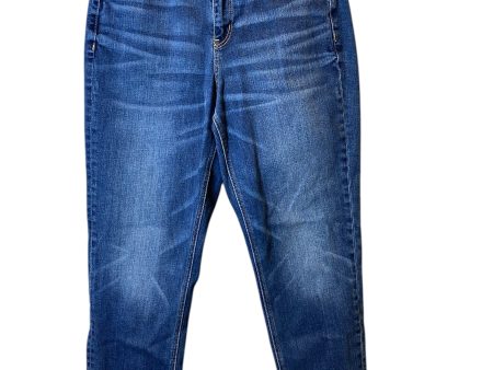 Jeans Straight By American Eagle In Blue, Size: 10 on Sale