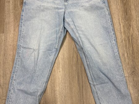 Jeans Boyfriend By American Eagle In Blue Denim, Size: 14 For Sale