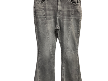 Jeans Flared By Flying Monkey In Grey, Size: 12 Online Sale