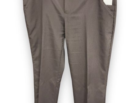 Pants Chinos & Khakis By Daisy Fuentes In Striped Pattern, Size: 6 Supply