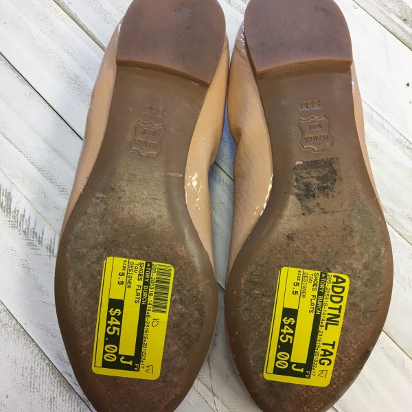 Shoes Flats designer By Tory Burch  Size: 5.5 on Sale