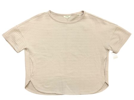 Top Short Sleeve Basic By Max Studio In Tan, Size: 6 Supply